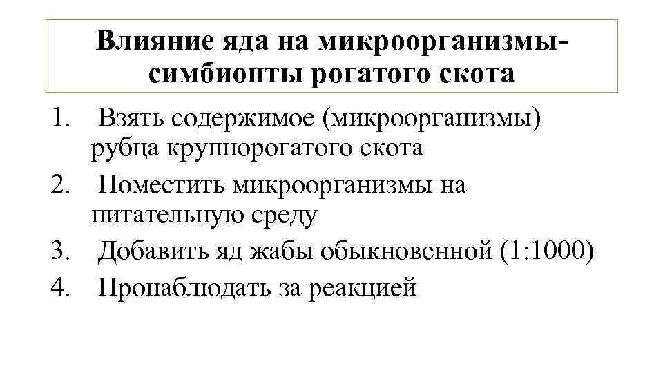 Влияние яда на микроорганизмысимбионты рогатого скота 1. Взять содержимое (микроорганизмы) рубца крупнорогатого скота 2.