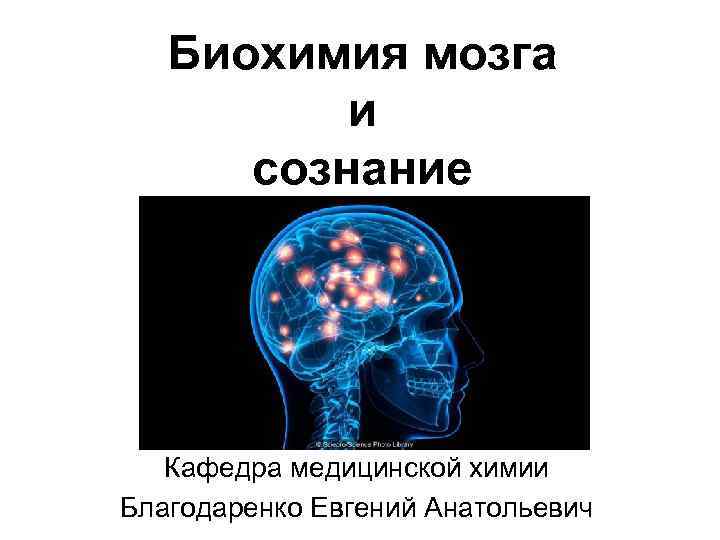 Биохимия мозга и сознание Кафедра медицинской химии Благодаренко Евгений Анатольевич 