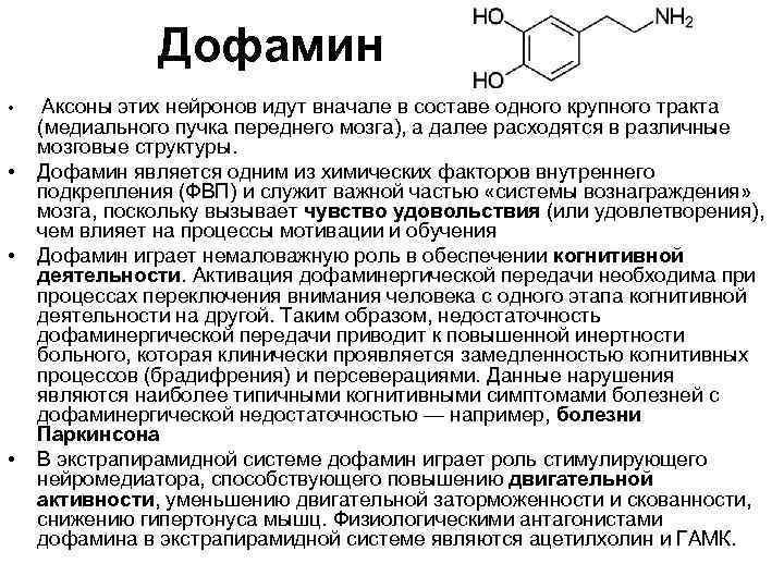 Дофамин • • Аксоны этих нейронов идут вначале в составе одного крупного тракта (медиального