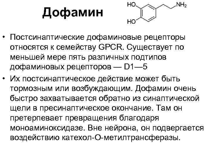 Дофамин • Постсинаптические дофаминовые рецепторы относятся к семейству GPCR. Существует по меньшей мере пять