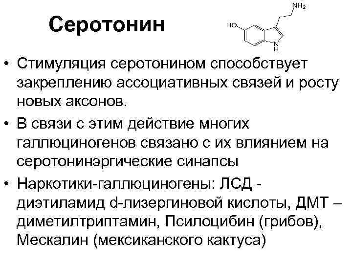 Серотонин • Стимуляция серотонином способствует закреплению ассоциативных связей и росту новых аксонов. • В