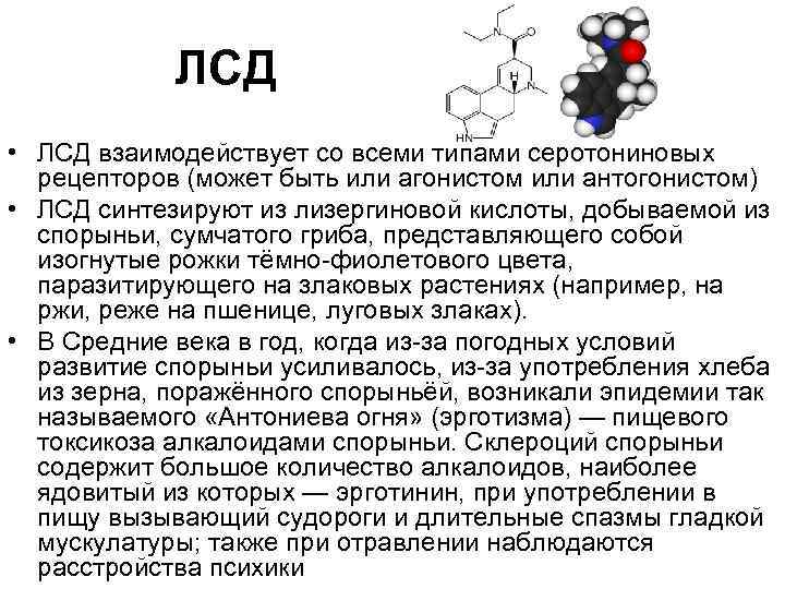 ЛСД • ЛСД взаимодействует со всеми типами серотониновых рецепторов (может быть или агонистом или