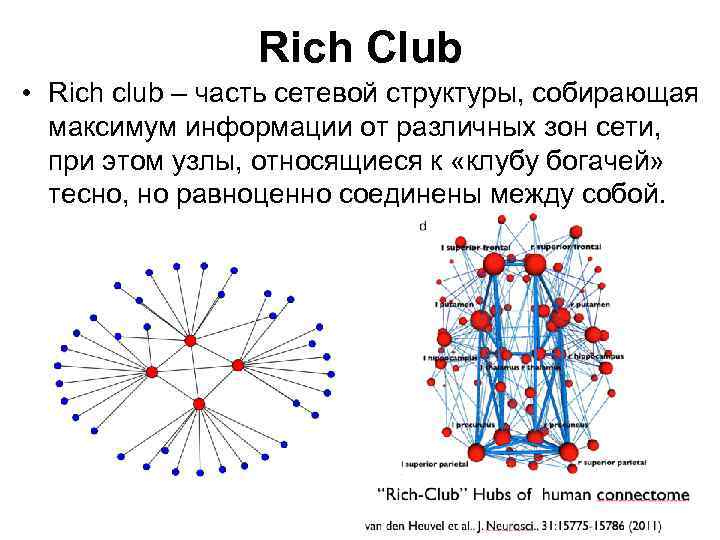 Rich Club • Rich club – часть сетевой структуры, собирающая максимум информации от различных