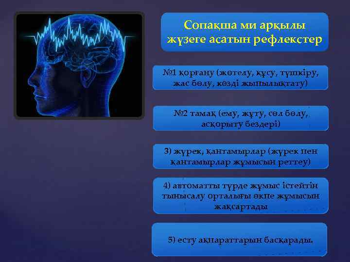 Сопақша ми арқылы жүзеге асатын рефлекстер № 1 қорғану (жөтелу, құсу, түшкіру, жас бөлу,