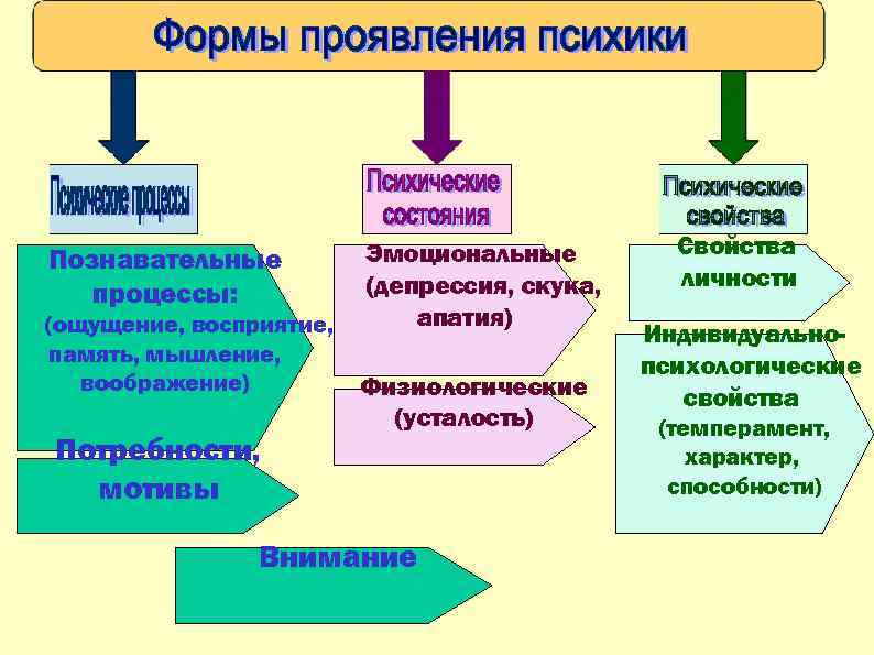 Познавательные процессы: (ощущение, восприятие, память, мышление, воображение) Потребности, мотивы Эмоциональные (депрессия, скука, апатия) Физиологические