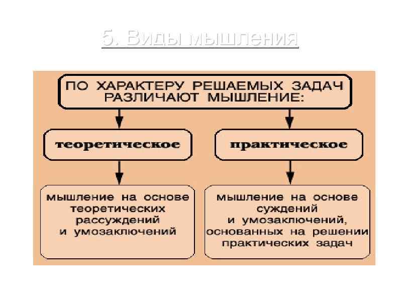 5. Виды мышления 