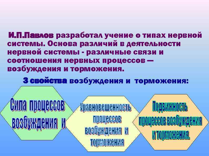 И. П. Павлов разработал учение о типах нервной системы. Основа различий в деятельности нервной