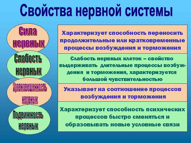Характеризует способность переносить продолжительные или кратковременные процессы возбуждения и торможения Слабость нервных клеток –
