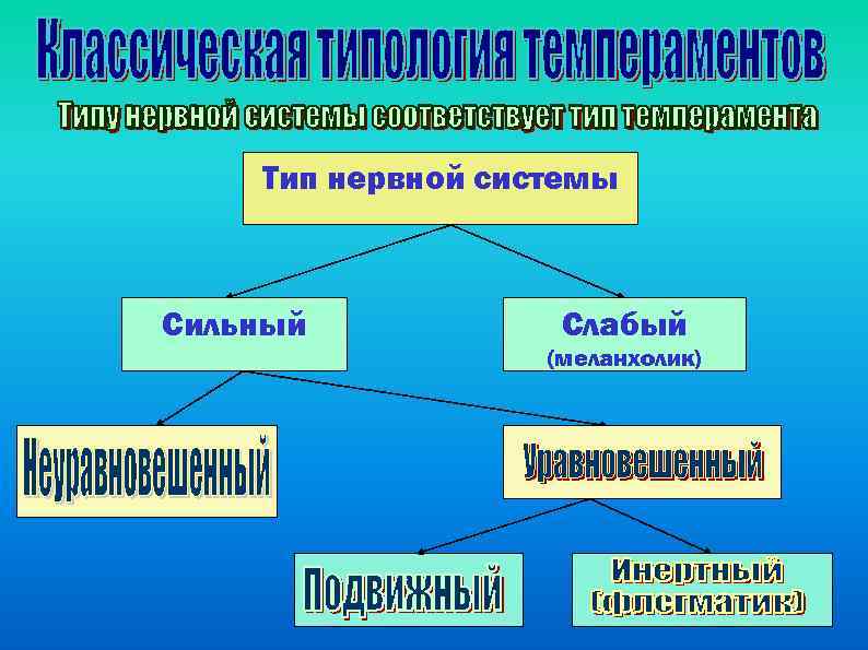 Тип нервной системы Сильный Слабый (меланхолик) ) 