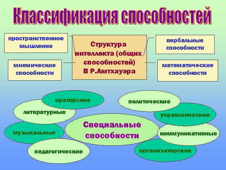 пространственное мышление мнемические способности Структура интеллекта (общих способностей) В Р. Амтхауэра ораторские педагогические математические