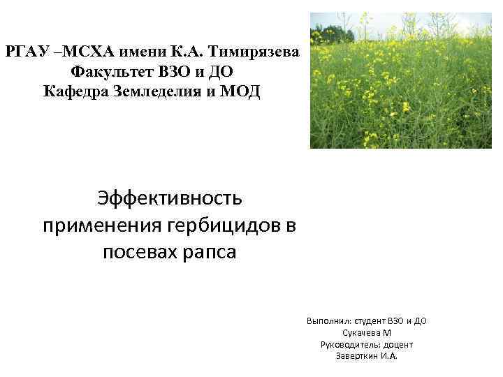 РГАУ –МСХА имени К. А. Тимирязева Факультет ВЗО и ДО Кафедра Земледелия и МОД