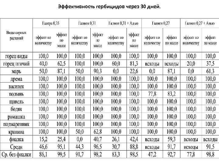 Эффективность гербицидов через 30 дней. 
