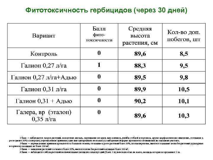 Фитотоксичность гербицидов (через 30 дней) 1 балл — наблюдается хлороз растений, пожелтение листьев, скручивание