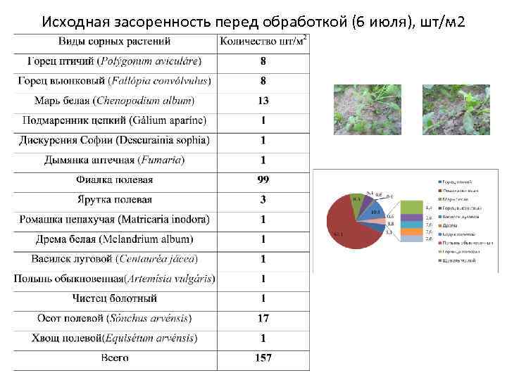 Исходная засоренность перед обработкой (6 июля), шт/м 2 