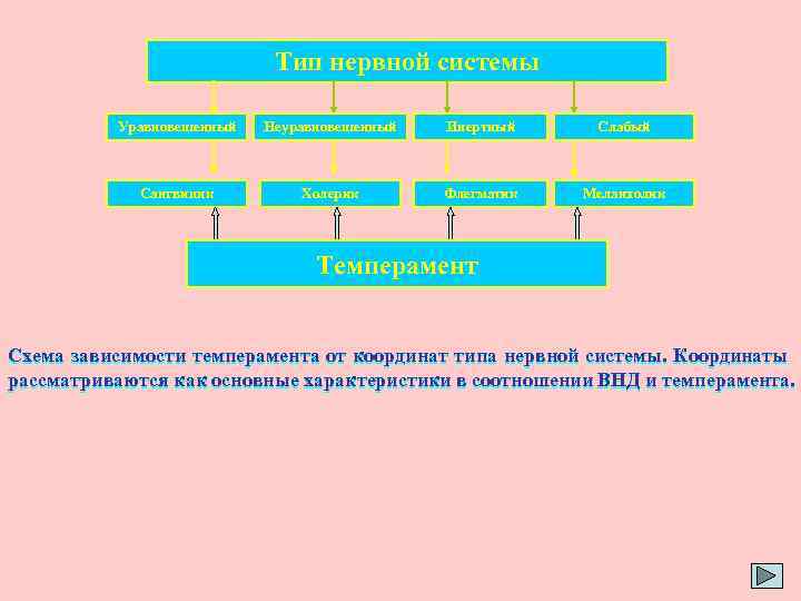 Тип нервной системы Уравновешенный Неуравновешенный Инертный Слабый Сангвиник Холерик Флегматик Меланхолик Темперамент Схема зависимости