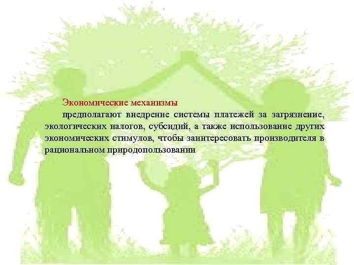 Экономические механизмы предполагают внедрение системы платежей за загрязнение, экологических налогов, субсидий, а также использование