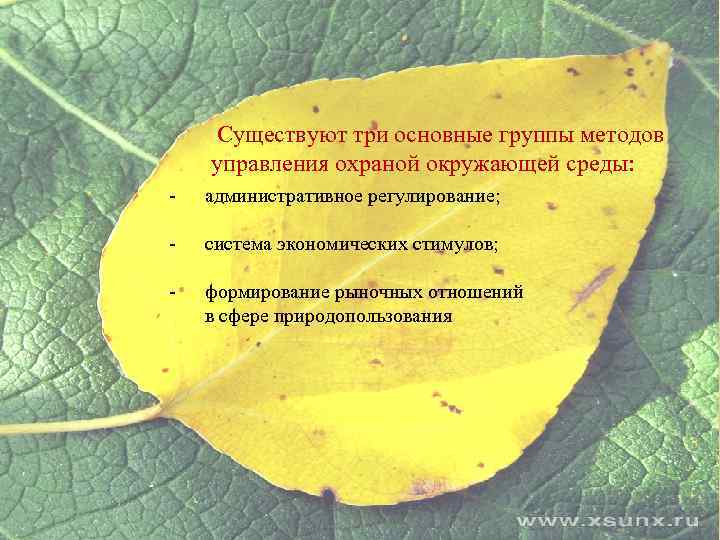 Существуют три основные группы методов управления охраной окружающей среды: - административное регулирование; - система