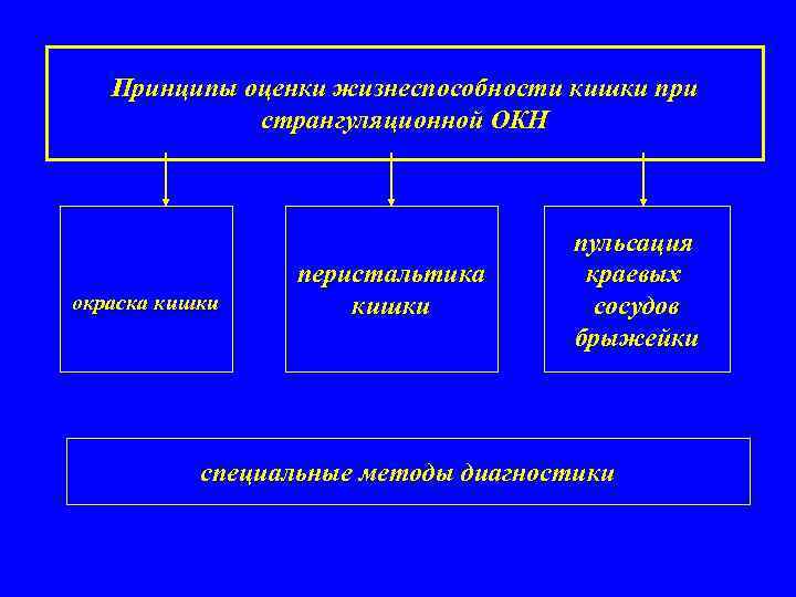 Принципы оценки жизнеспособности кишки при странгуляционной ОКН окраска кишки перистальтика кишки пульсация краевых сосудов