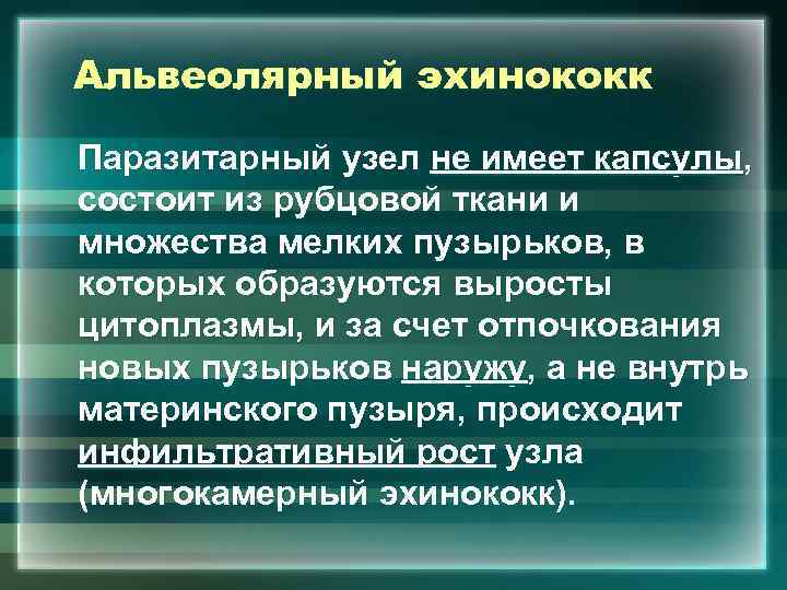 Альвеолярный эхинококк Паразитарный узел не имеет капсулы, состоит из рубцовой ткани и множества мелких