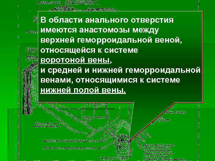 В области анального отверстия имеются анастомозы между верхней геморроидальной веной, относящейся к системе воротоной