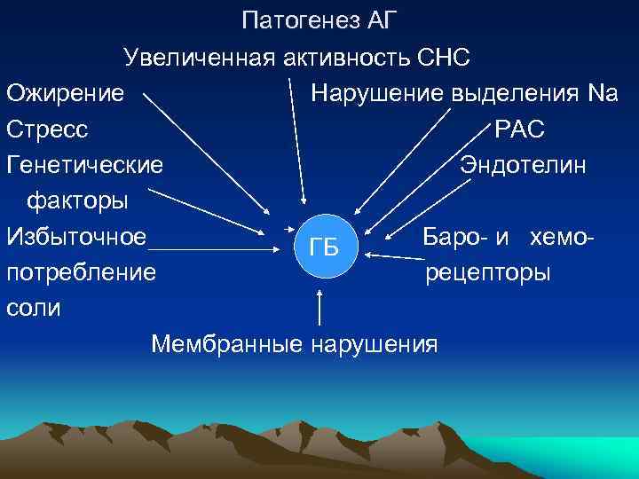 Патогенез АГ Увеличенная активность СНС Ожирение Нарушение выделения Na Стресс РАС Генетические Эндотелин факторы