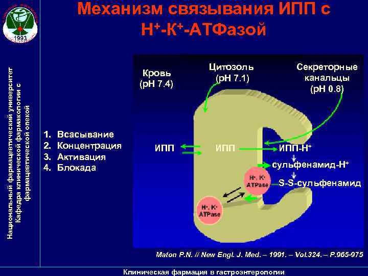 Национальный фармацевтический университет Кафедра клинической фармакологии с фармацевтической опекой Механизм связывания ИПП с Н+-К+-АТФазой