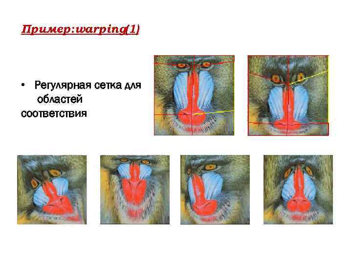 Пример: warping(1) • Регулярная сетка для областей соответствия 