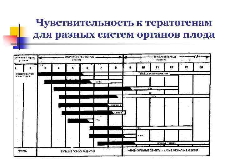 Чувствительность к тератогенам для разных систем органов плода 