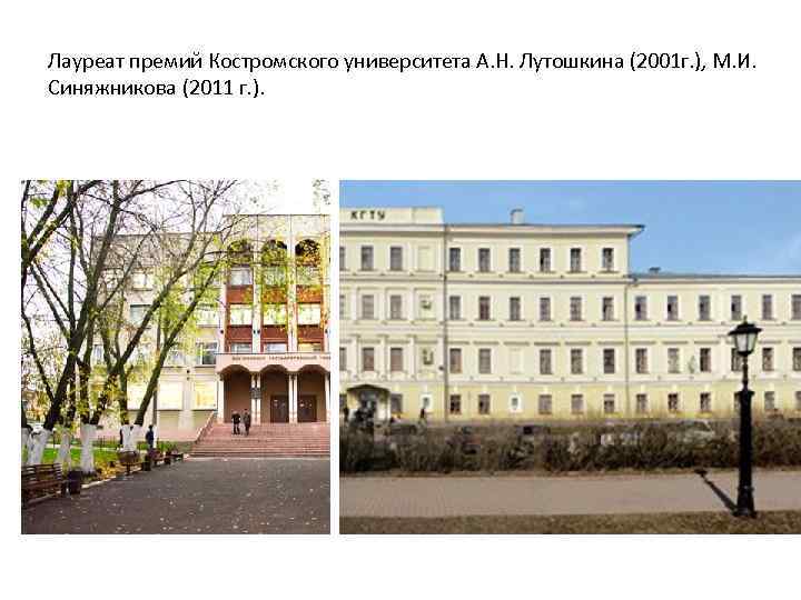 Лауреат премий Костромского университета А. Н. Лутошкина (2001 г. ), М. И. Синяжникова (2011