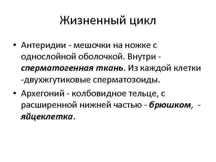 Жизненный цикл • Антеридии - мешочки на ножке с однослойной оболочкой. Внутри сперматогенная ткань.