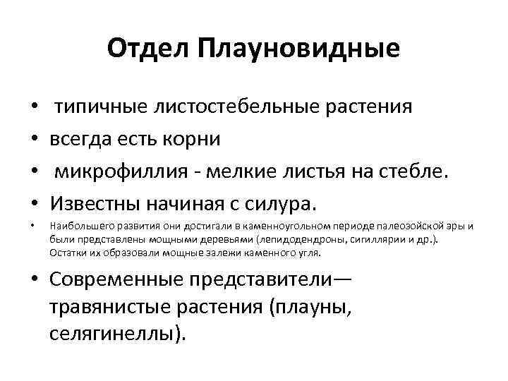 Отдел Плауновидные • • типичные листостебельные растения всегда есть корни микрофиллия - мелкие листья