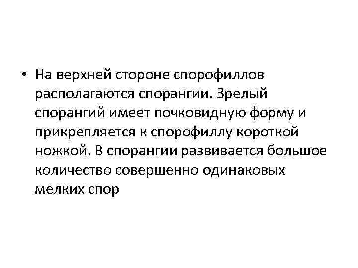  • На верхней стороне спорофиллов располагаются спорангии. Зрелый спорангий имеет почковидную форму и