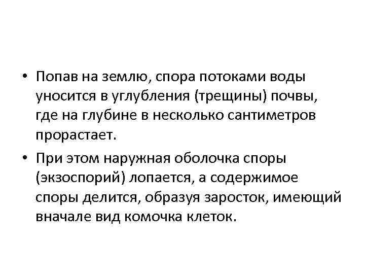  • Попав на землю, спора потоками воды уносится в углубления (трещины) почвы, где