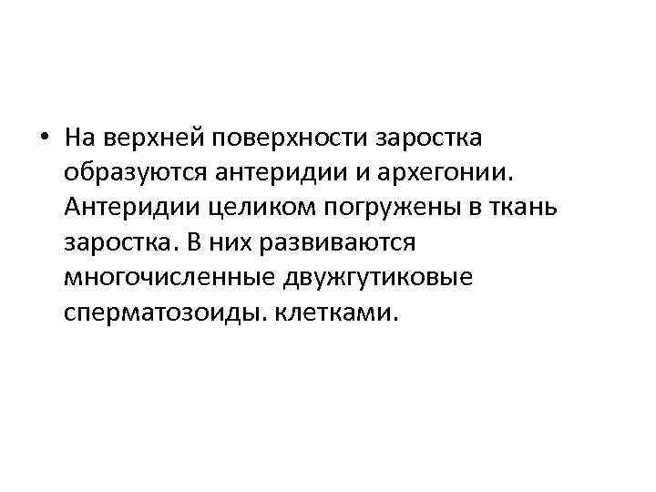  • На верхней поверхности заростка образуются антеридии и архегонии. Антеридии целиком погружены в