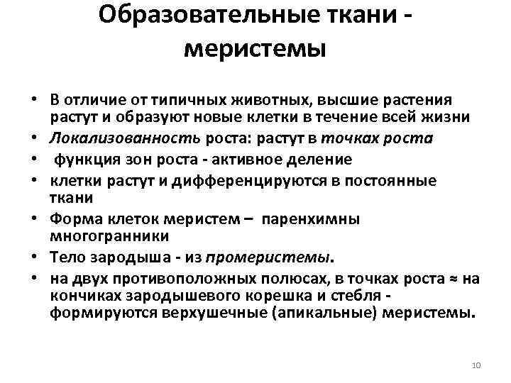 Образовательные ткани меристемы • В отличие от типичных животных, высшие растения растут и образуют