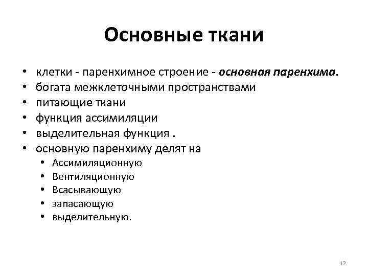 Основные ткани • • • клетки - паренхимное строение - основная паренхима. богата межклеточными