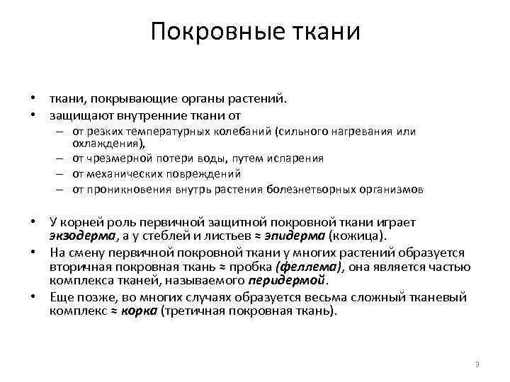 Покровные ткани • ткани, покрывающие органы растений. • защищают внутренние ткани от – от