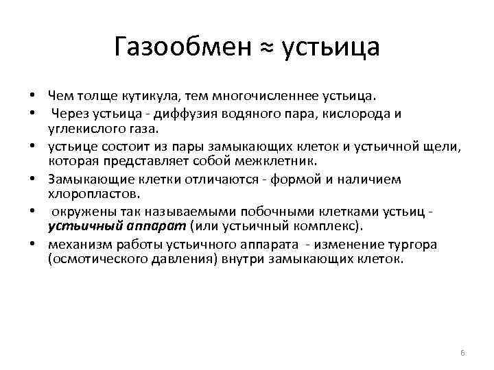 Газообмен ≈ устьица • Чем толще кутикула, тем многочисленнее устьица. • Через устьица -