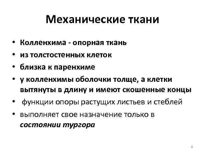 Механические ткани Колленхима - опорная ткань из толстостенных клеток близка к паренхиме у колленхимы