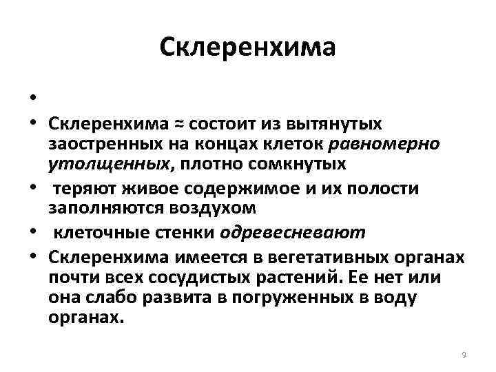 Склеренхима • • Склеренхима ≈ состоит из вытянутых заостренных на концах клеток равномерно утолщенных,