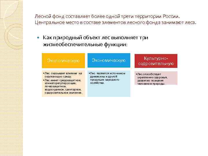Лесной фонд составляет более одной трети территории России. Центральное место в составе элементов лесного