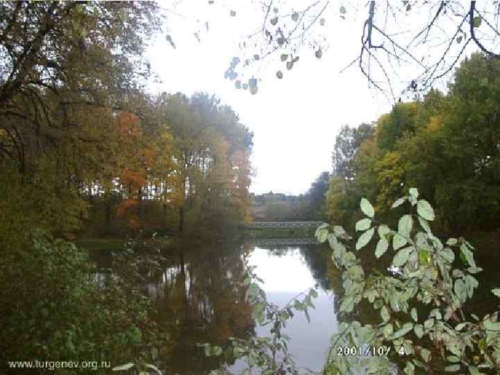  Красота родной природы 