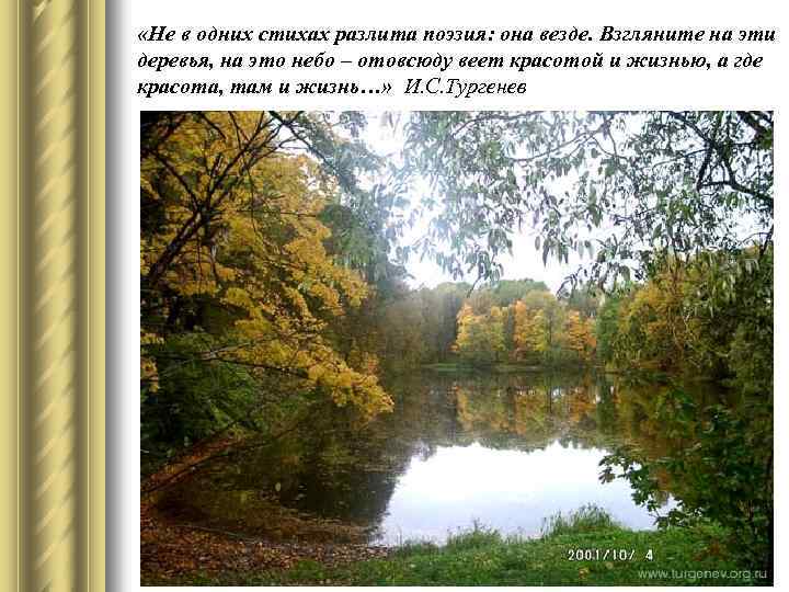  «Не в одних стихах разлита поэзия: она везде. Взгляните на эти деревья, на