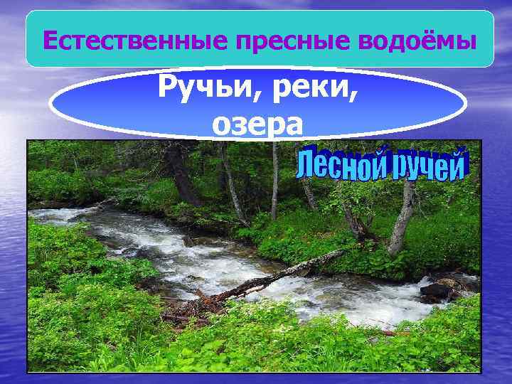 Естественные пресные водоёмы Ручьи, реки, Озёра Реки озера 