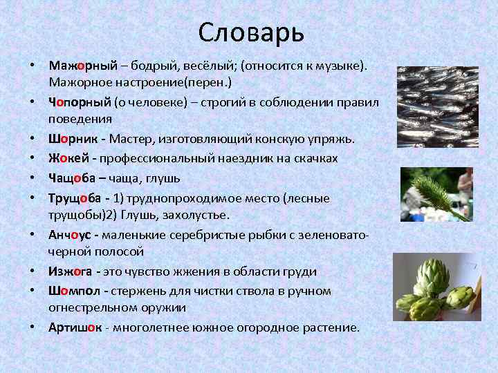 Словарь • Мажорный – бодрый, весёлый; (относится к музыке). Мажорное настроение(перен. ) • Чопорный