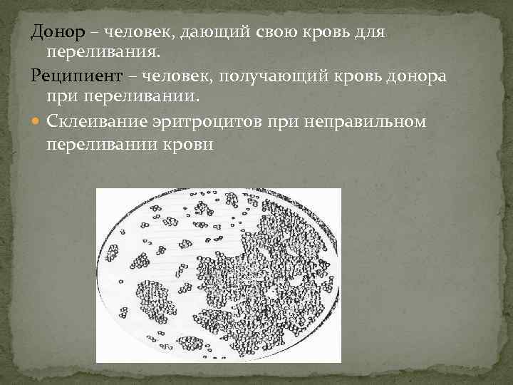 Донор – человек, дающий свою кровь для переливания. Реципиент – человек, получающий кровь донора