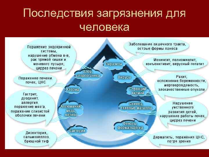 Последствия загрязнения для человека 