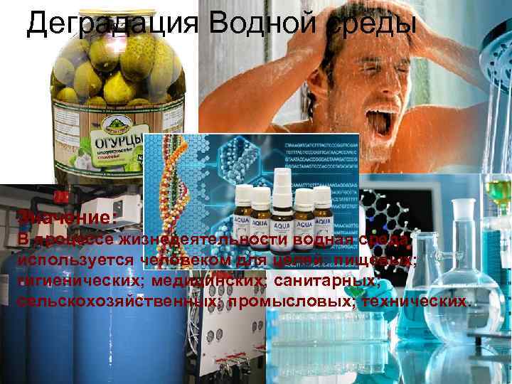 Деградация Водной среды Значение: В процессе жизнедеятельности водная среда используется человеком для целей: пищевых;