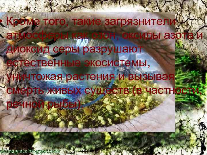  • Кроме того, такие загрязнители атмосферы как озон, оксиды азота и диоксид серы