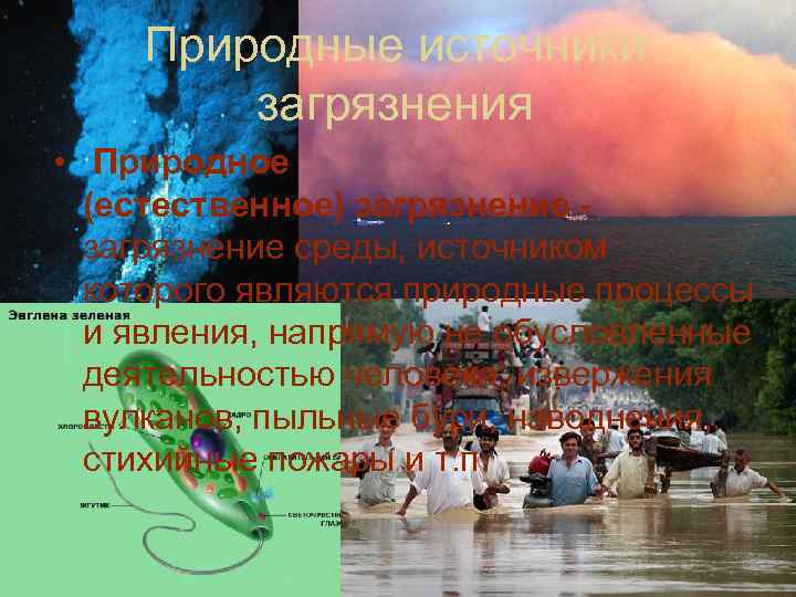 Природные источники загрязнения • Природное (естественное) загрязнение - загрязнение среды, источником которого являются природные